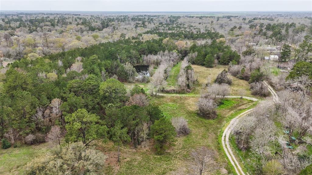 17034 County Road 191, Alvin, Texas image 11