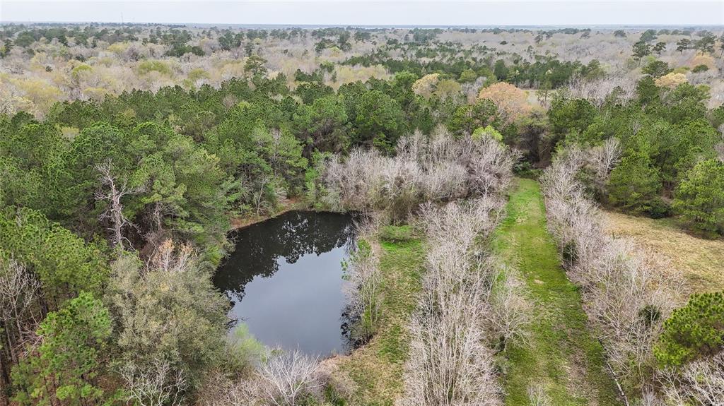 17034 County Road 191, Alvin, Texas image 14