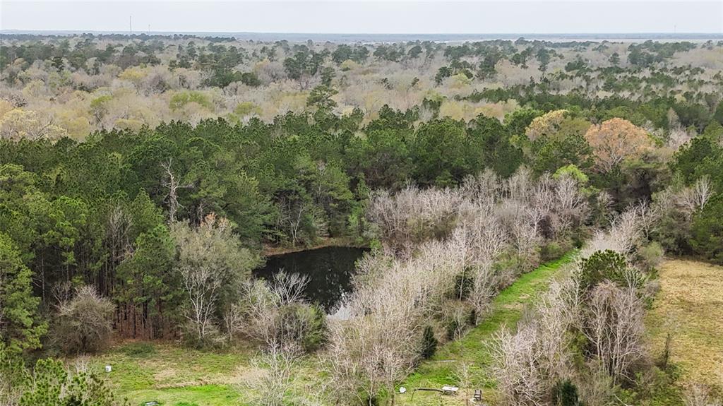 17034 County Road 191, Alvin, Texas image 13