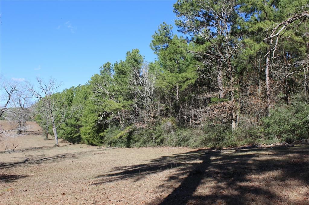 9417 County Road 114, Centerville, Texas image 7