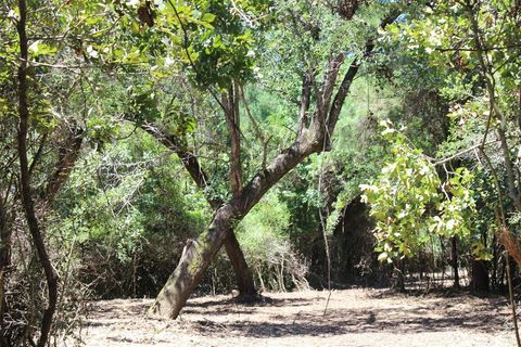 9417 County Road 114 Centerville TX 75833