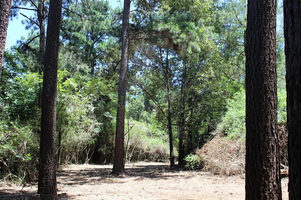 9417 County Road 114, Centerville, Texas image 9