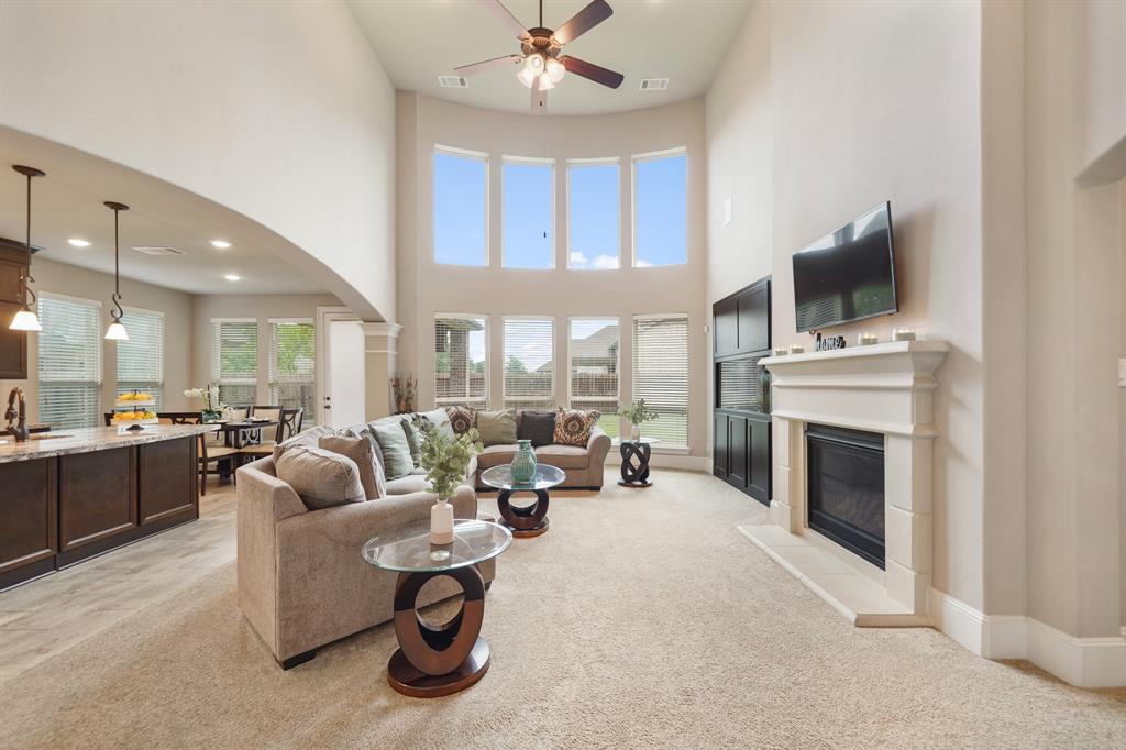 3225 Summer Tanager Lane, Manvel, Texas image 14