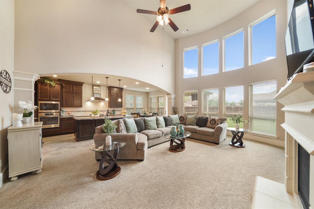 3225 Summer Tanager Lane, Manvel, Texas image 13