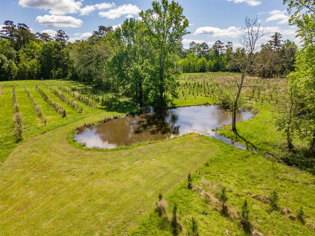 2360 County Road 2071, Hull, Texas image 15