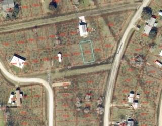 Royal Oaks Lot 779 Street, Palacios, Texas image 2