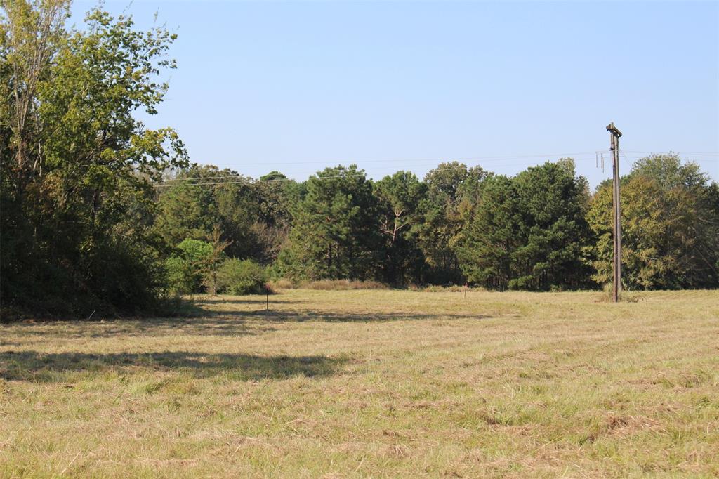 TBD S State Highway 19, Elkhart, Texas image 13