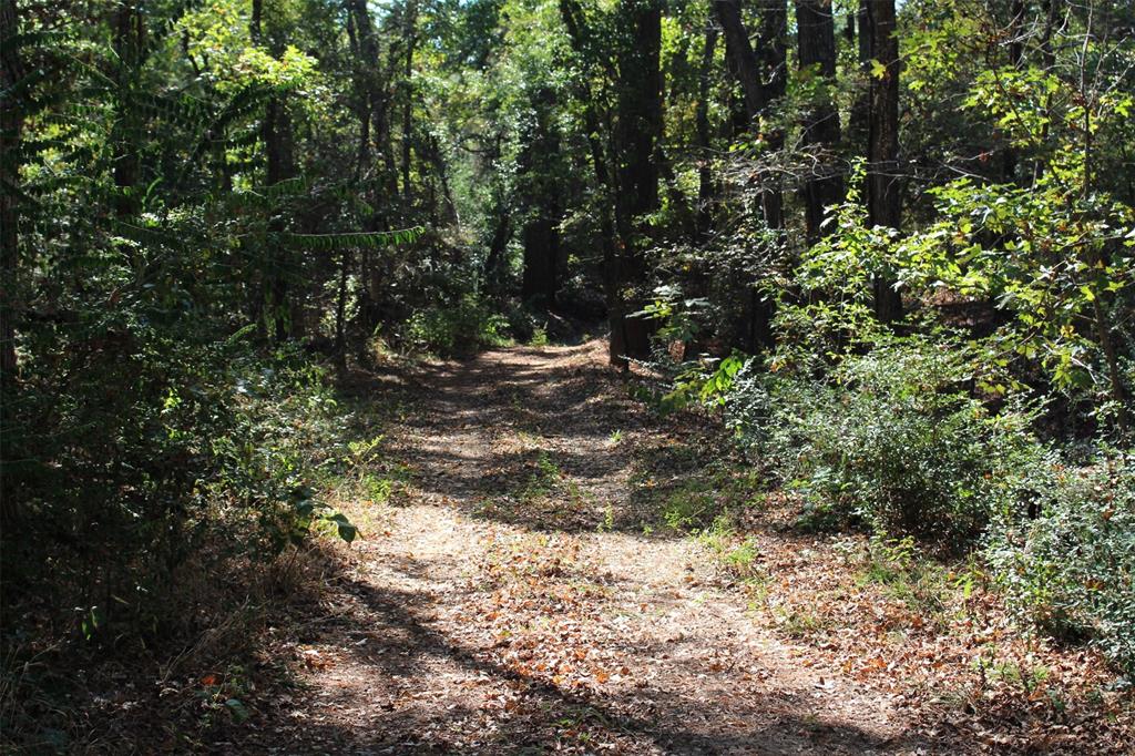 TBD S State Highway 19, Elkhart, Texas image 19