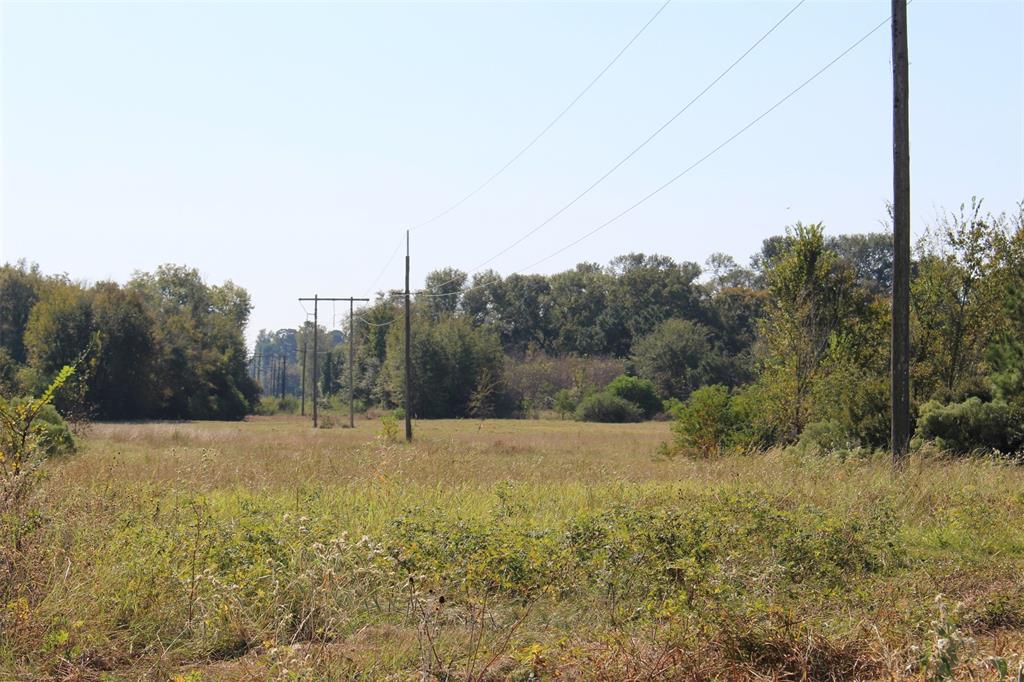 TBD S State Highway 19, Elkhart, Texas image 16