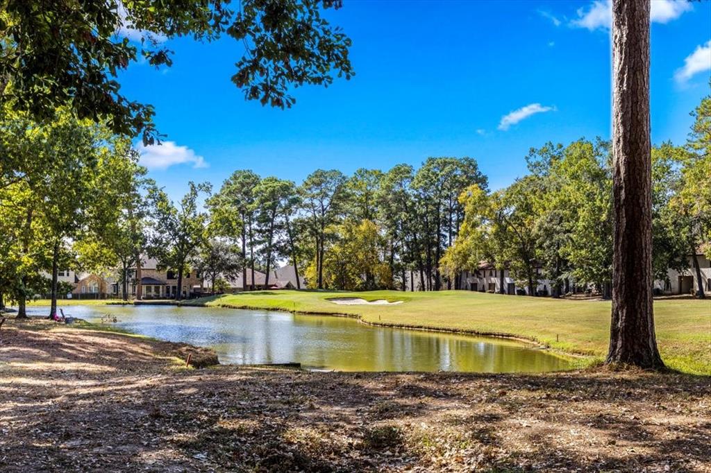 27 Laguna Road, Montgomery, Texas image 7