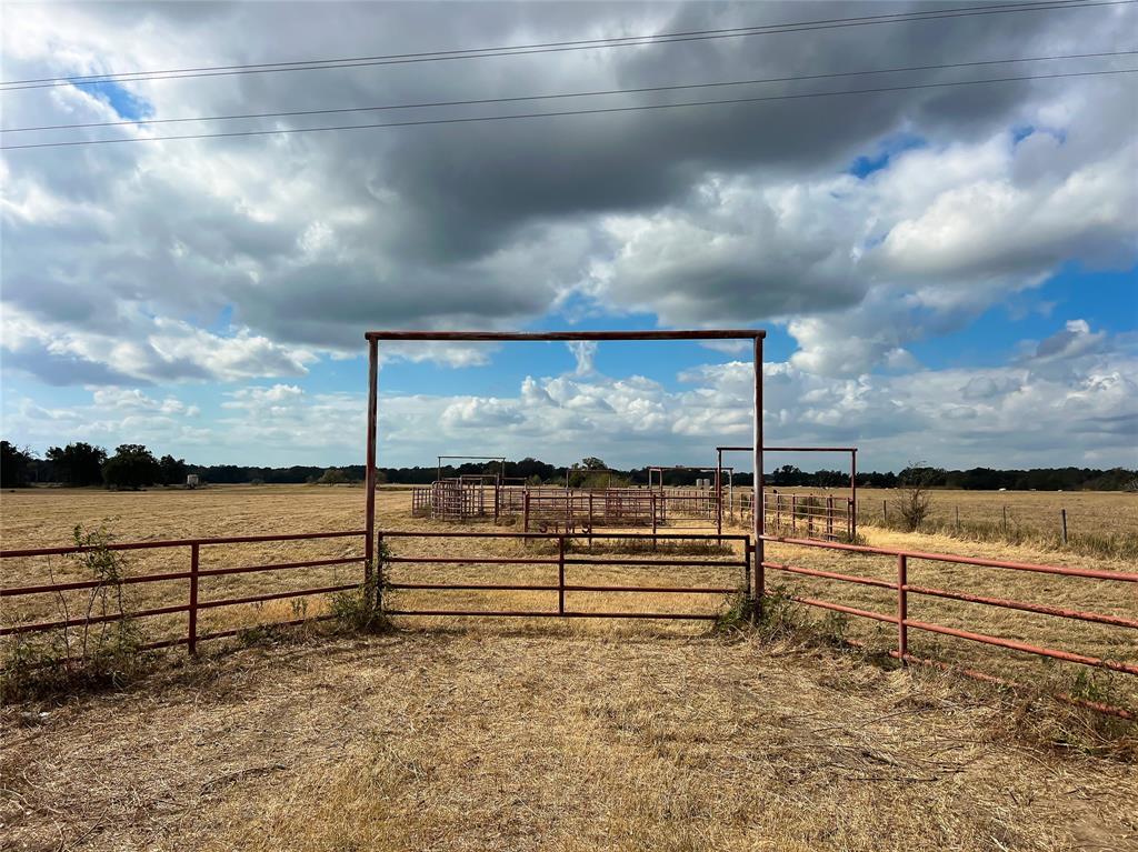 TBD-A Fm-3371, Groesbeck, Texas image 11