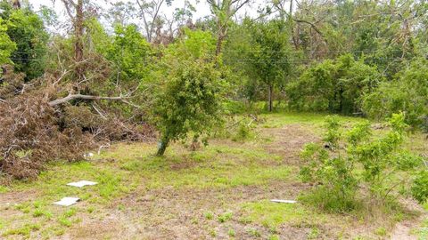 Photo of 131 Coker Street, Jones Creek, TX 77541 (MLS # 5523630)