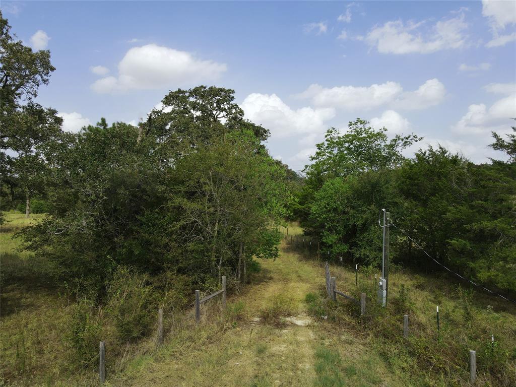 11352 Highway 90, Bedias, Texas image 17