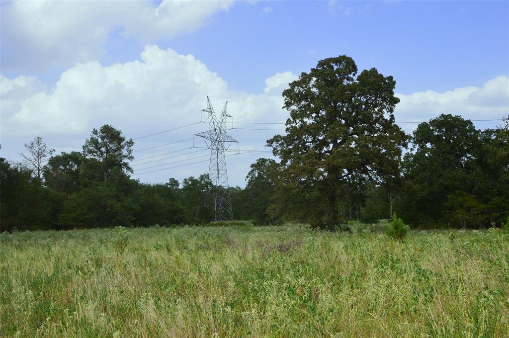 11352 Highway 90, Bedias, Texas image 14