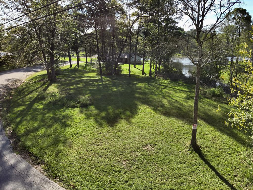 TBD W Lake Drive, Livingston, Texas image 4