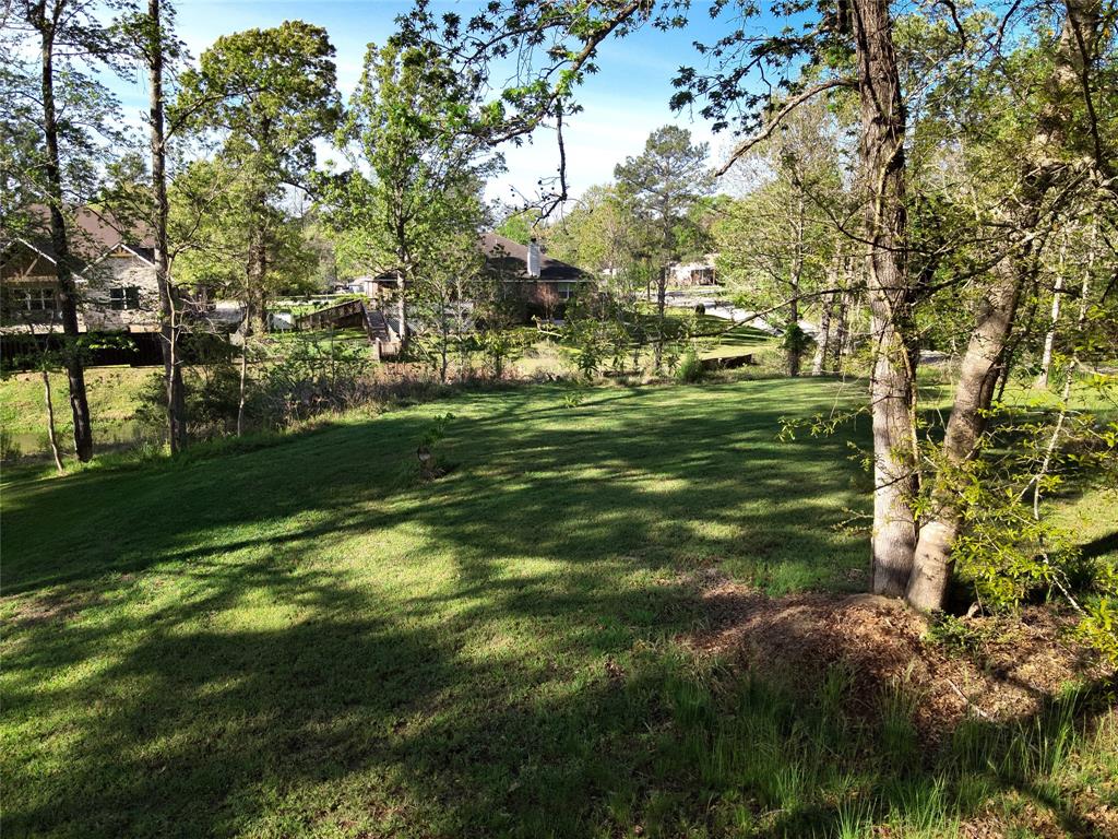 TBD W Lake Drive, Livingston, Texas image 3