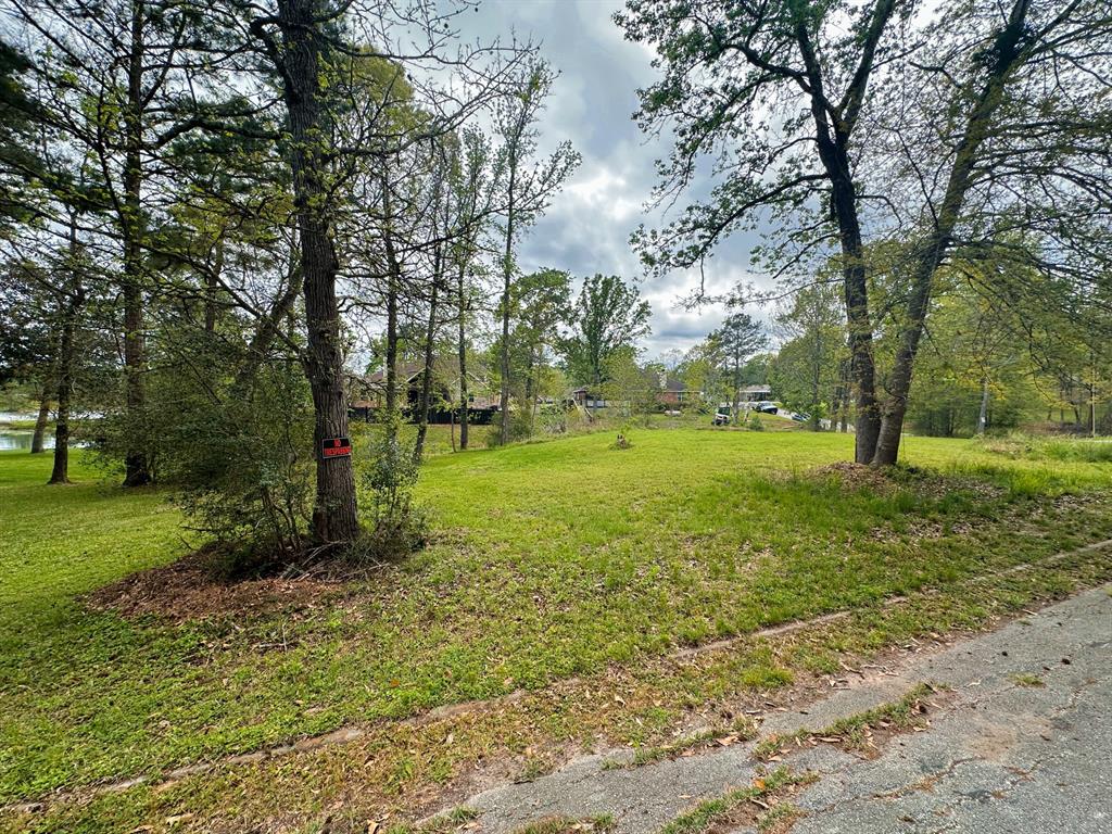 TBD W Lake Drive, Livingston, Texas image 11