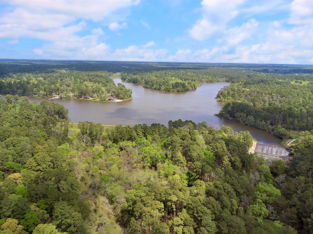 287A-6-6 Dipping Vat Road, Huntsville, Texas image 11