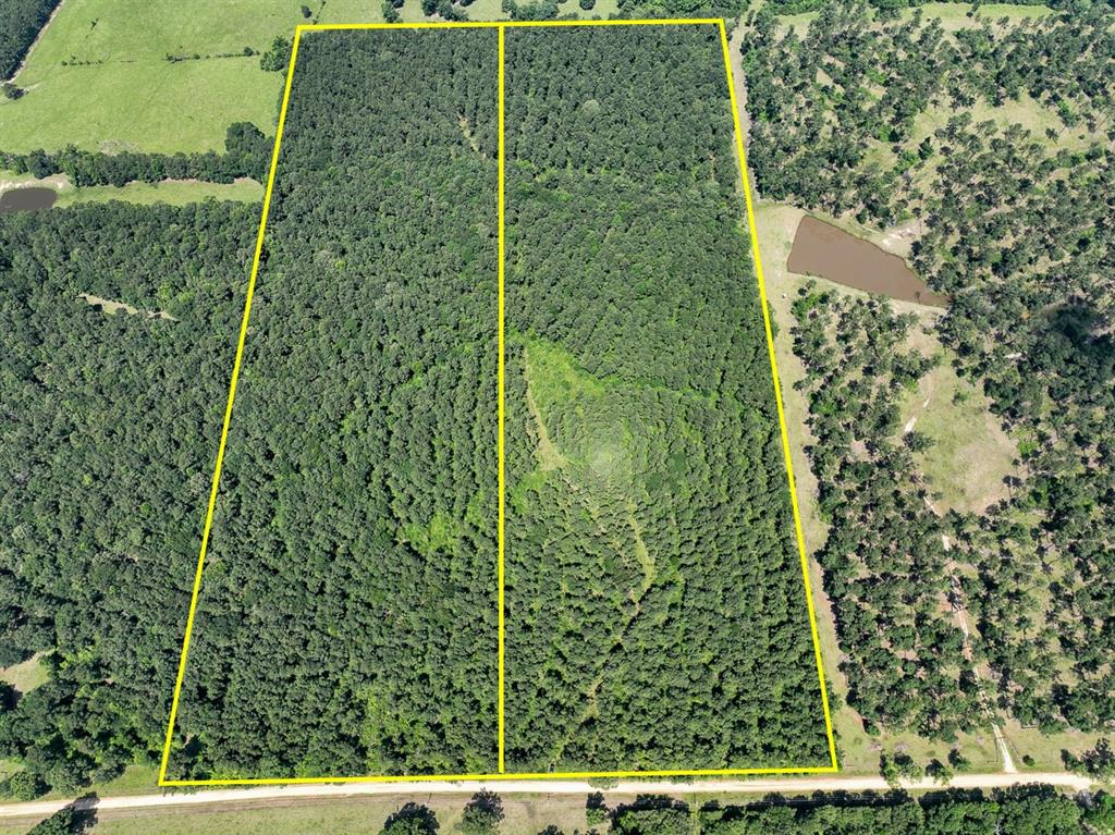 1 Fodice-2 Road, Pennington, Texas image 1