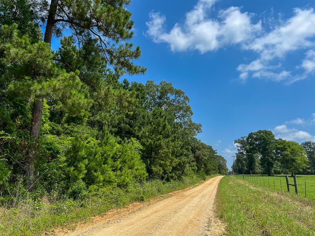 1 Fodice-2 Road, Pennington, Texas image 2