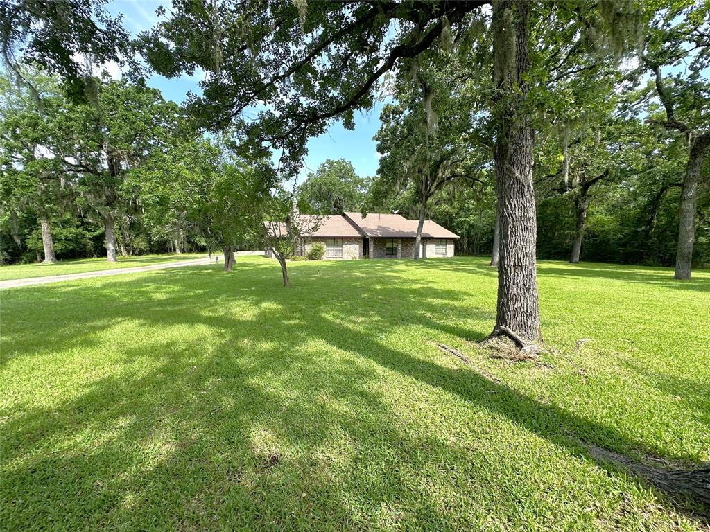 113 Fm 3454 Road, Huntsville, Texas image 3
