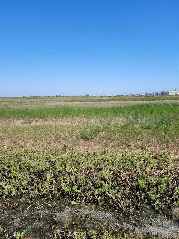 Nesmith Place, Surfside Beach, Texas image 3