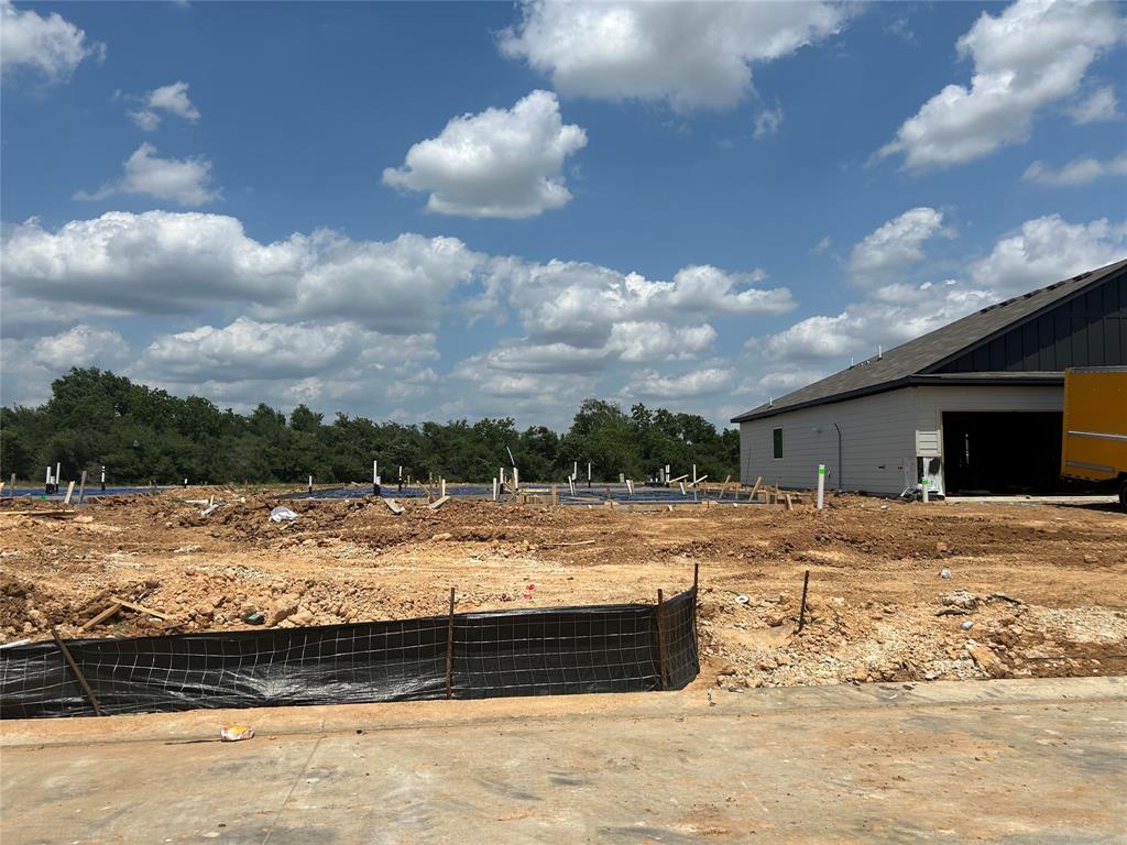 17342 White Peace Drive, Waller, Texas image 25