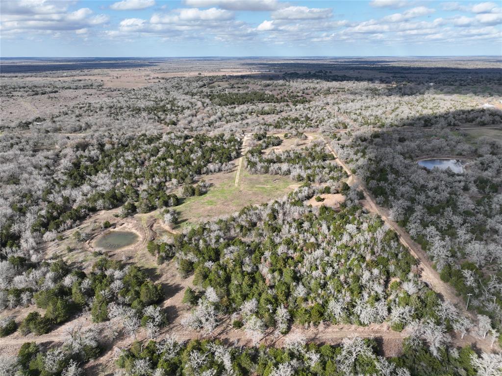 5850 Brown Road, Flatonia, Texas image 4