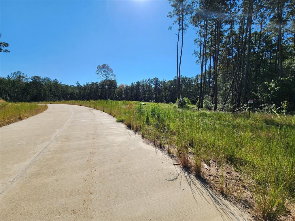 145 Rayburn Reserve Drive, Jasper, Texas image 4