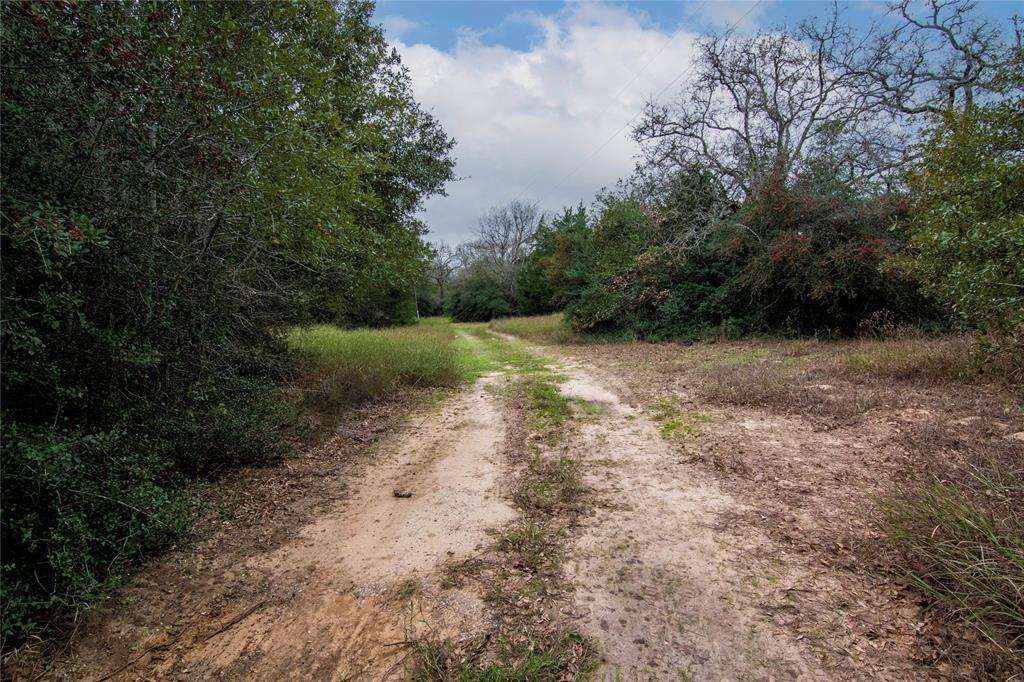 3800 E I-10 Feeder Road, Schulenburg, Texas image 4