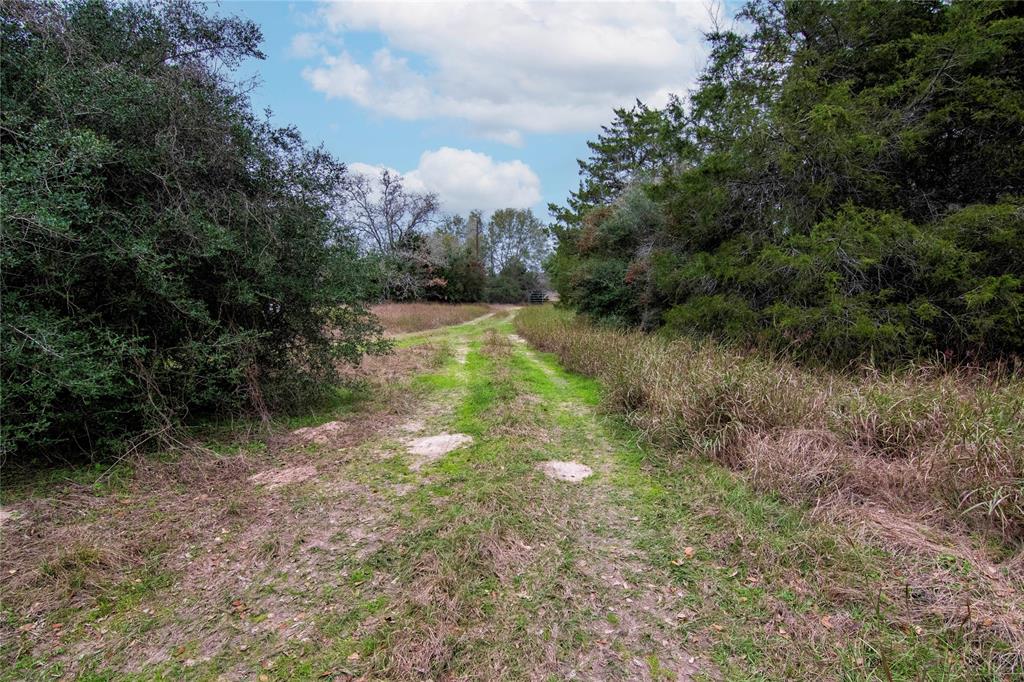 3800 E I-10 Feeder Road, Schulenburg, Texas image 7