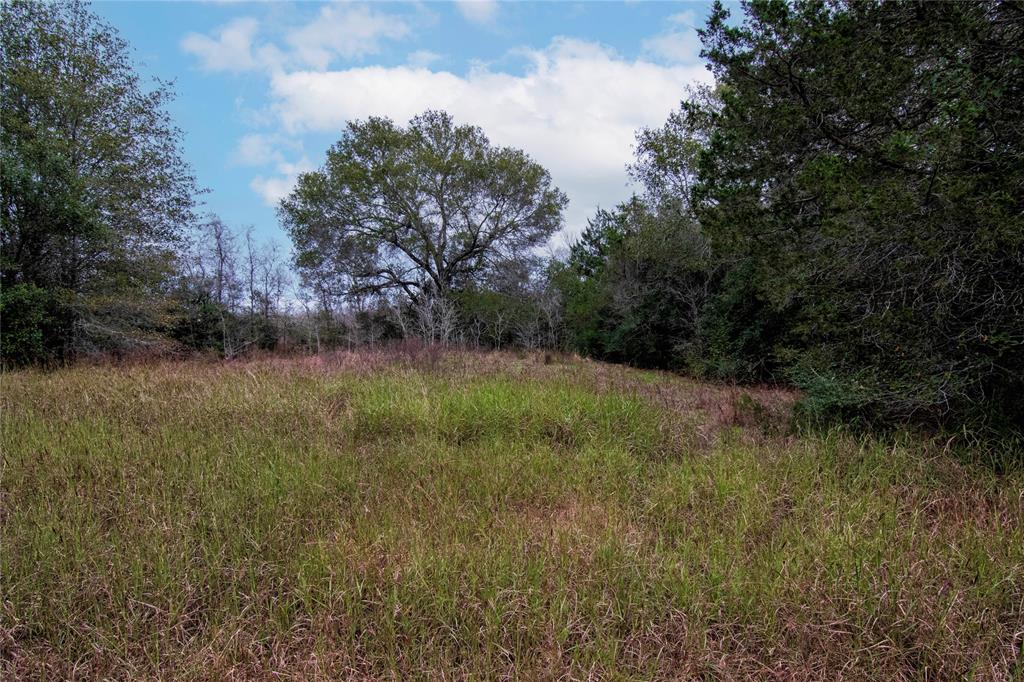 3800 E I-10 Feeder Road, Schulenburg, Texas image 6