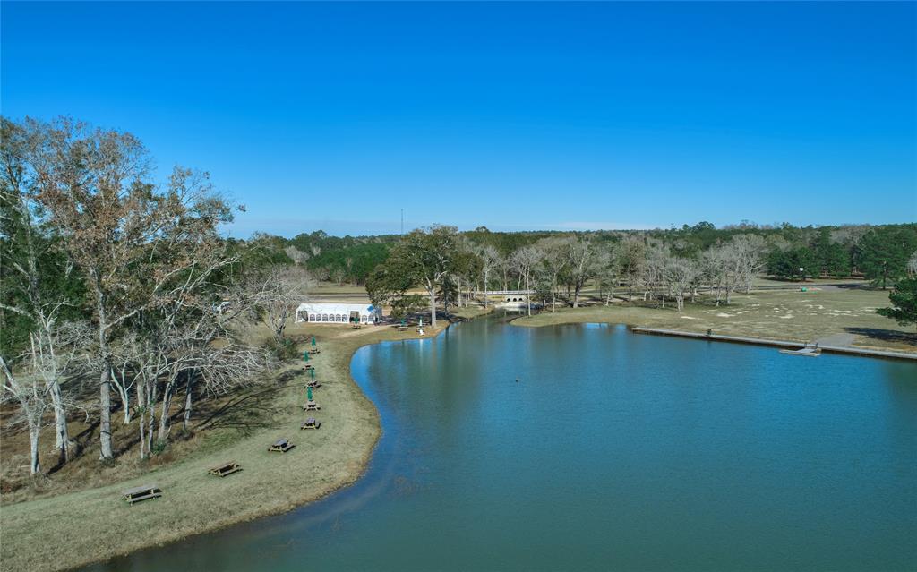 16237 Ridge Oak Road, Willis, Texas image 10