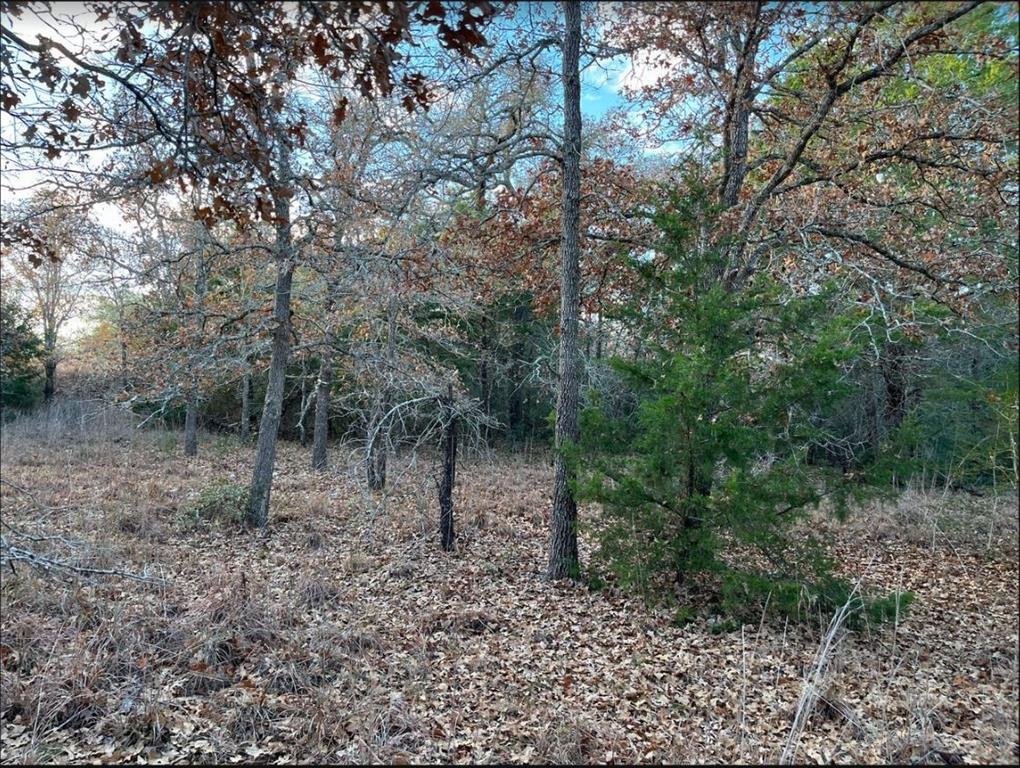 TBD Lot 14 Shady Oaks Lane, Somerville, Texas image 3