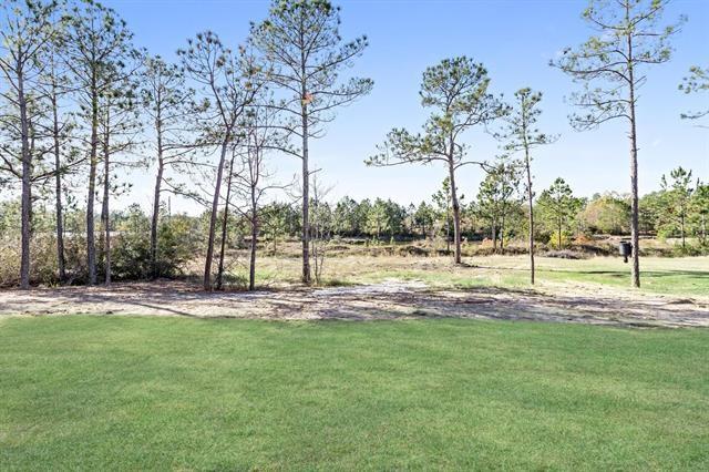 6790 Palace Drive, Lumberton, Texas image 34