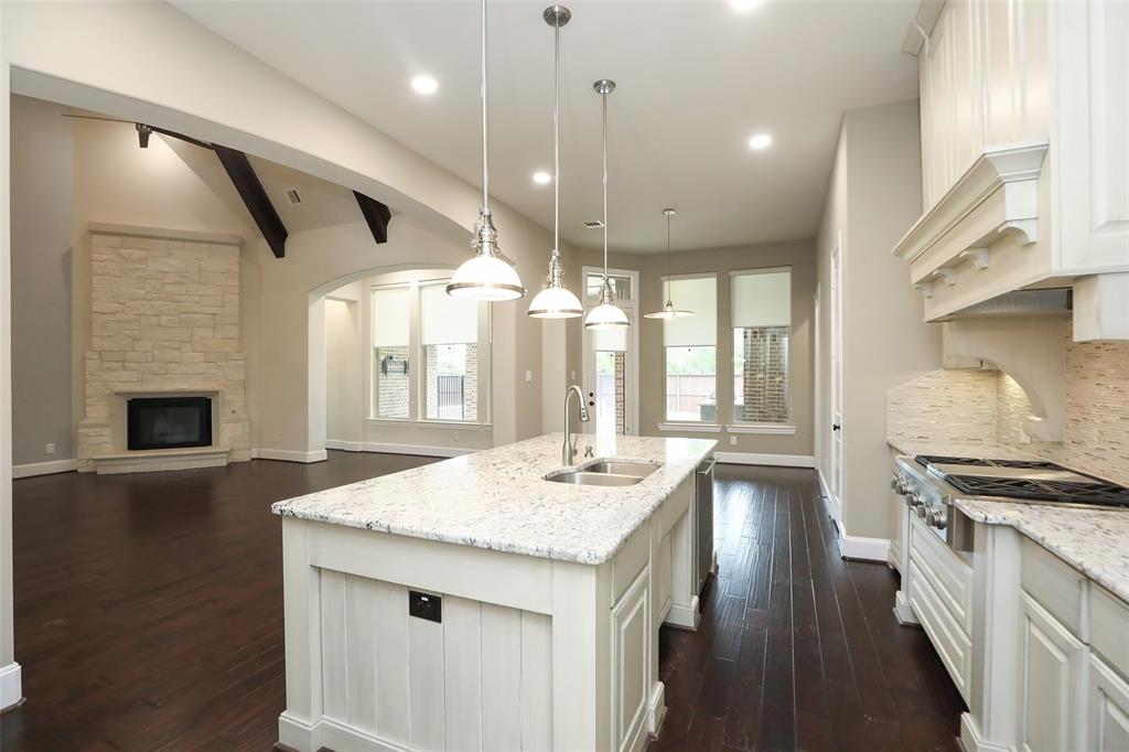 46 Star Iris Place, Tomball, Texas image 19