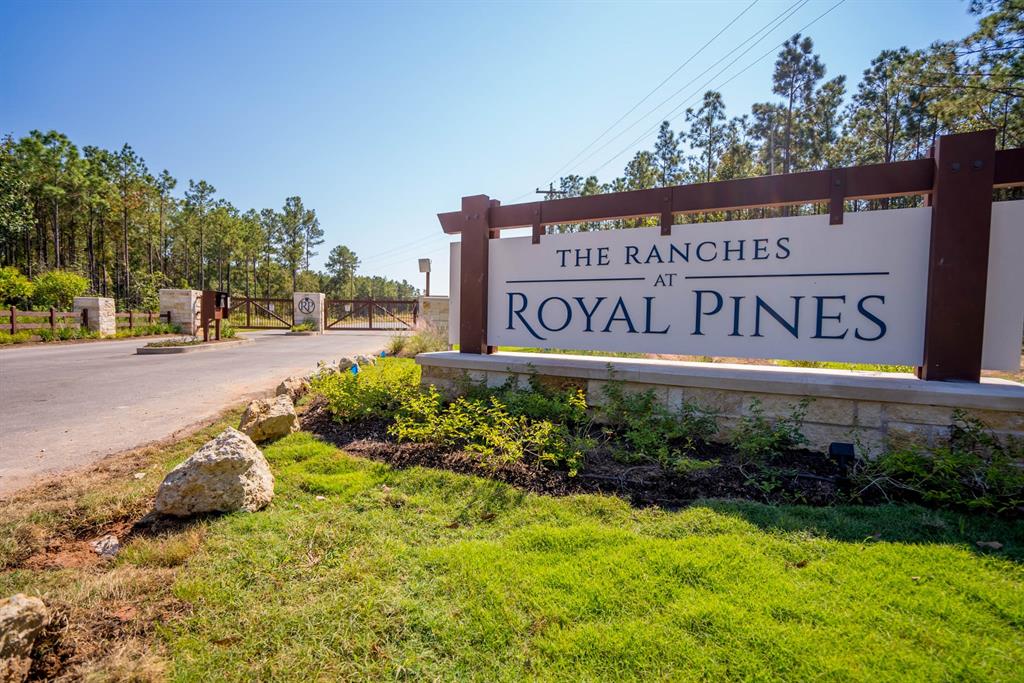 Queen Anne, Huntsville, Texas image 3