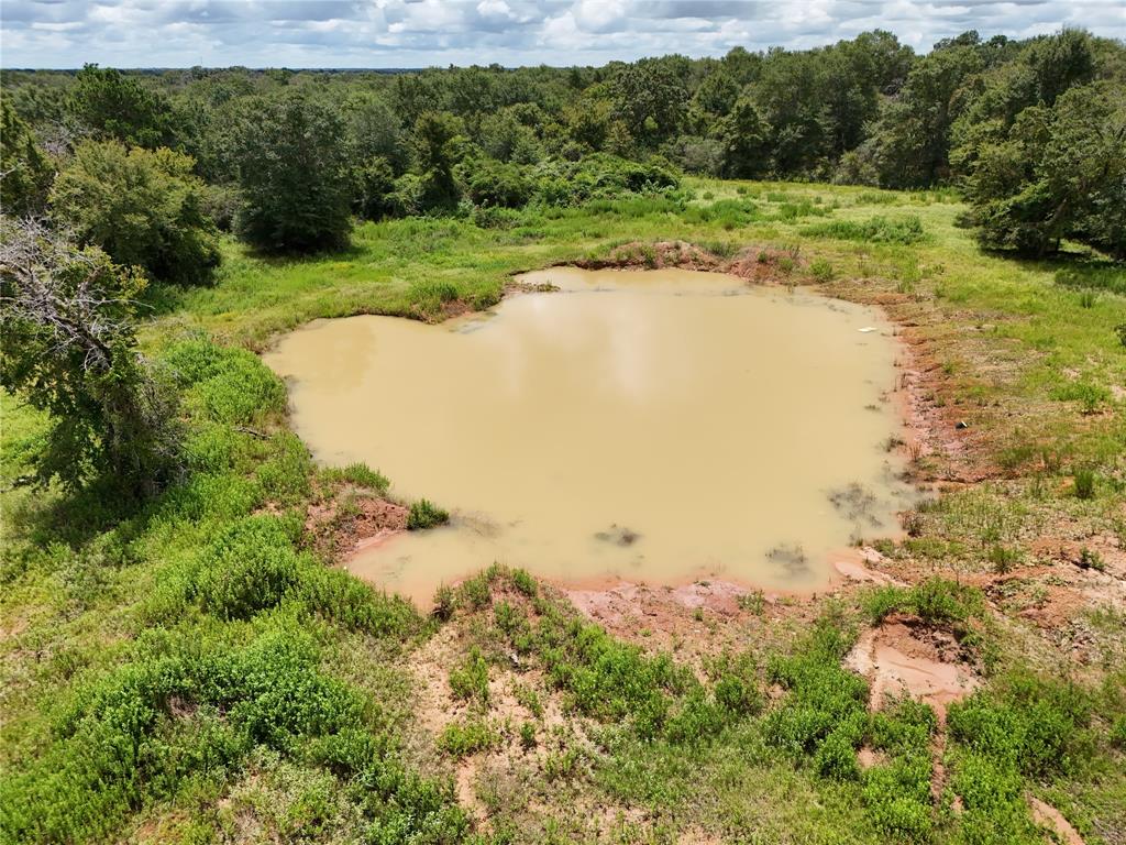 TBD Manning Lane, Madisonville, Texas image 1