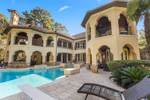 230 S Fazio Way The Woodlands TX 77389