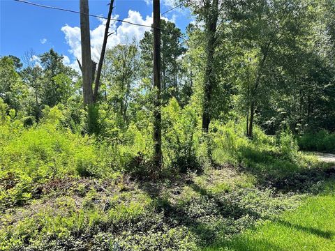 Photo of 14301 Splenwood Drive, Splendora, TX 77372 (MLS # 65574671)