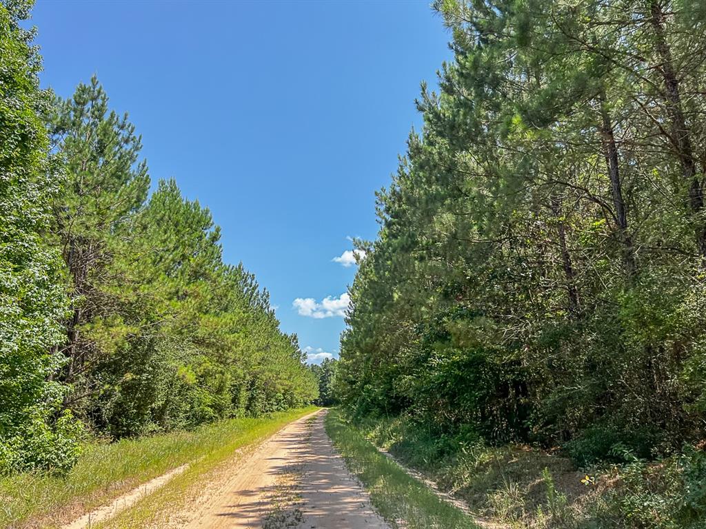 00000 Cr 367, Zavalla, Texas image 1