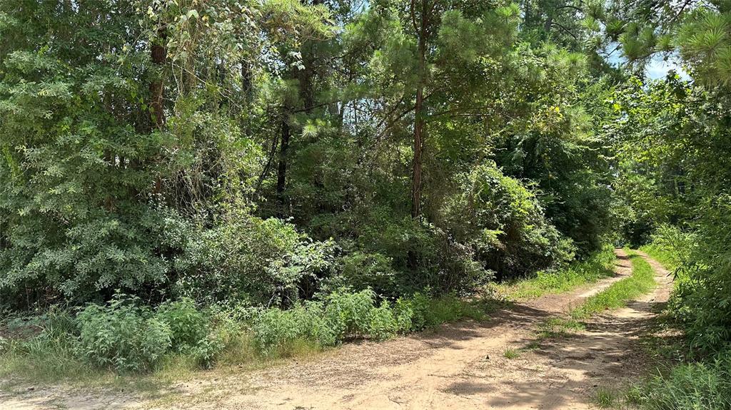 Lot 4 Live Oak Drive