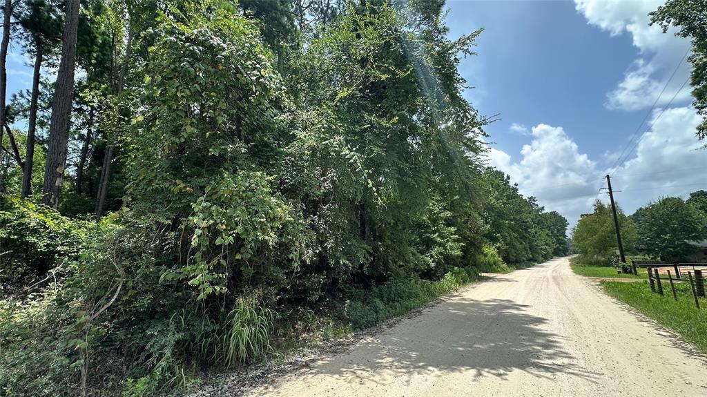 Lot 4 Live Oak Drive