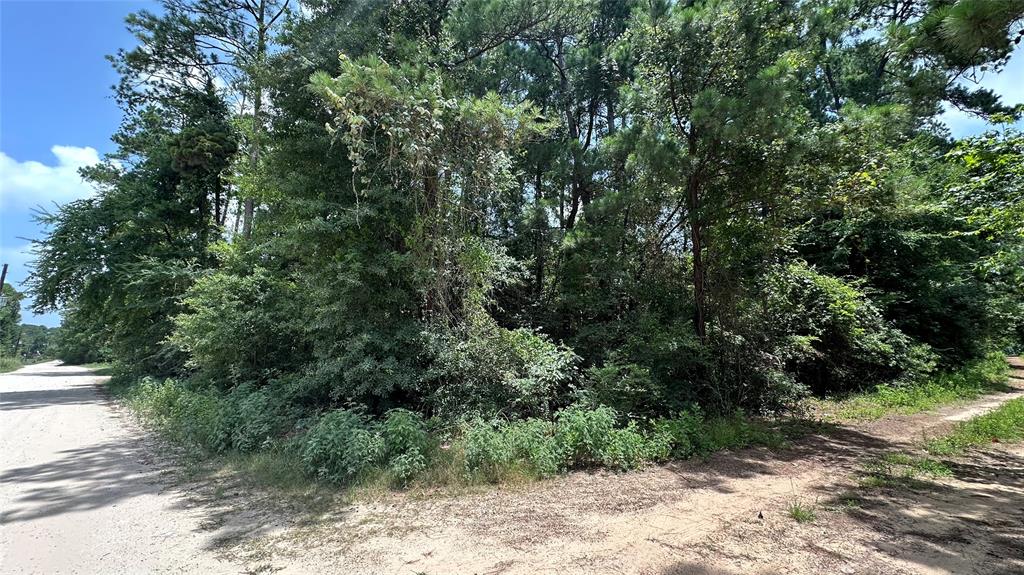 Lot 4 Live Oak Drive