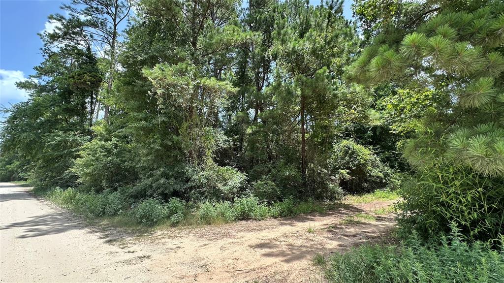 Lot 4 Live Oak Drive