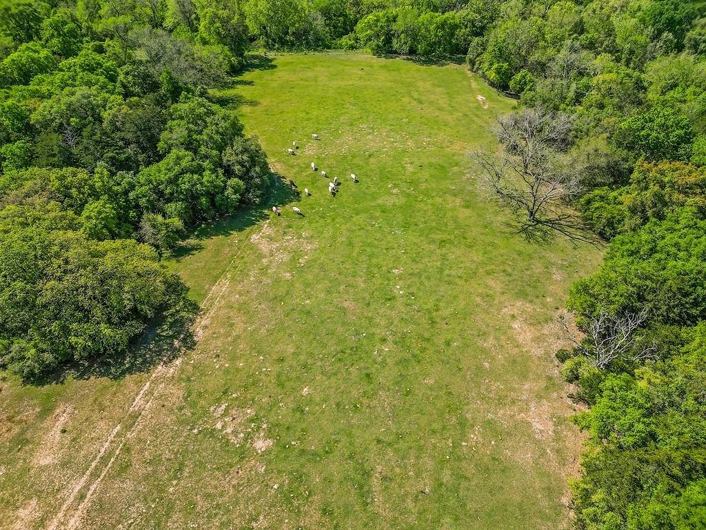 TBD County Rd 201, Weimar, Texas image 20