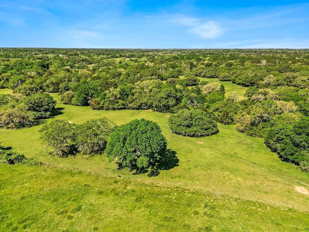 TBD County Rd 201, Weimar, Texas image 15