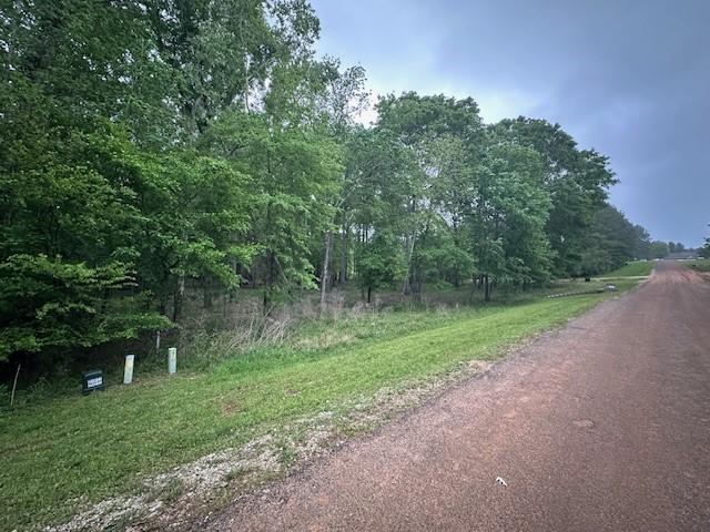 TBD Eastgate Park, Livingston, Texas image 4