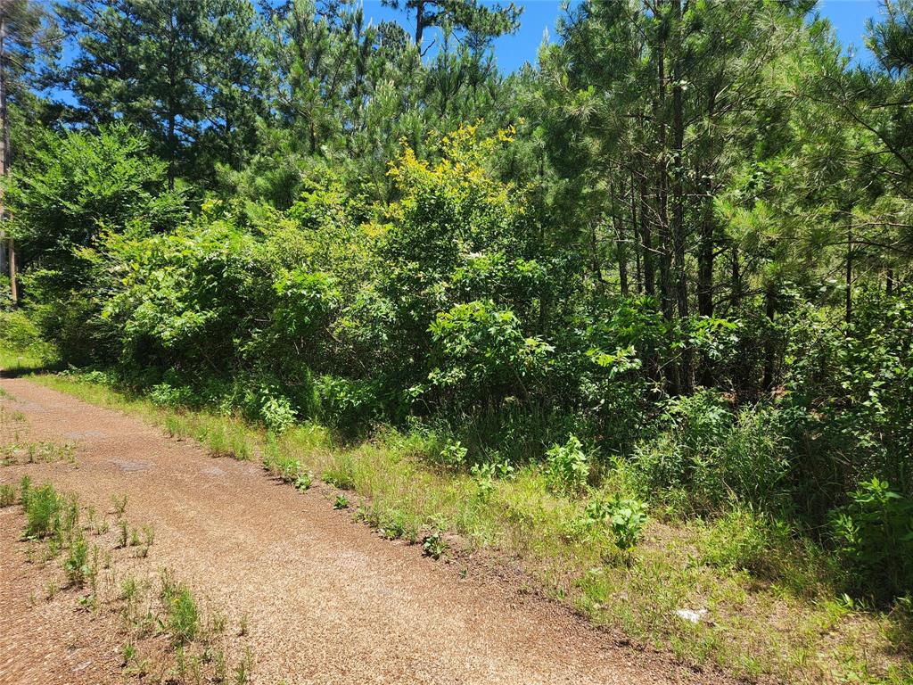 Lot 18 Mulberry Drive, Plantersville, Texas image 13