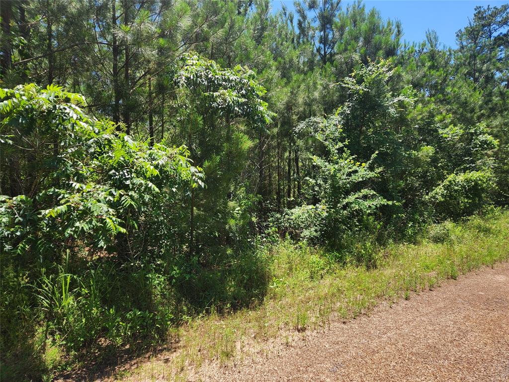 Lot 18 Mulberry Drive, Plantersville, Texas image 14